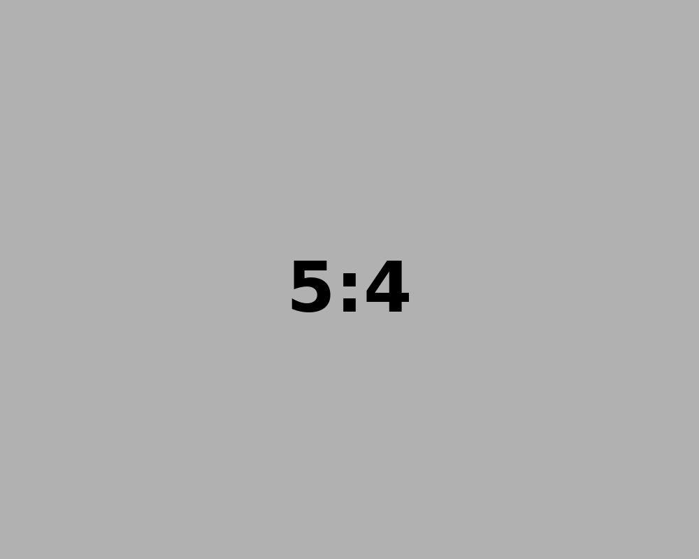 5_4.png